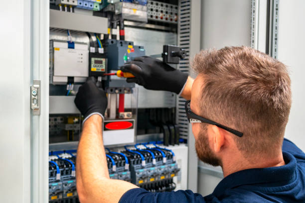 Best Electrical System Inspection  in Wenona, IL