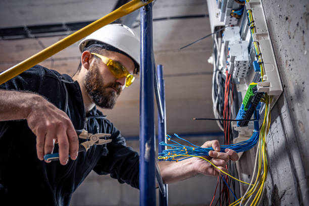 Best 24-Hour Electrician  in Wenona, IL