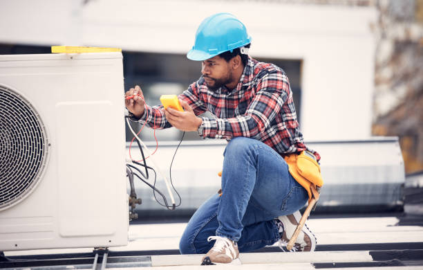 Best Electrical Repair Services  in Wenona, IL