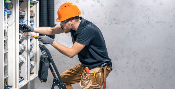 Best Electric Panel Repair  in Wenona, IL