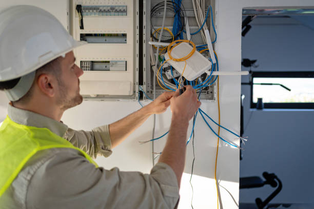 Best Electrician for Home Renovation  in Wenona, IL